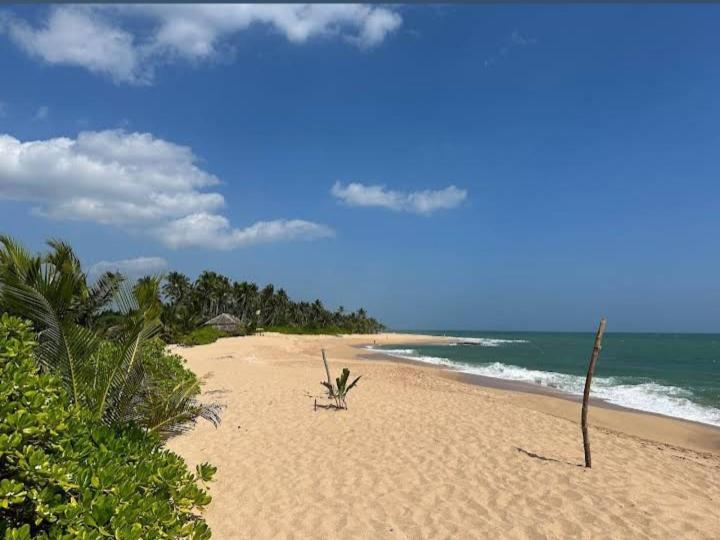 Hotel Golden Bell Tangalle Exteriör bild