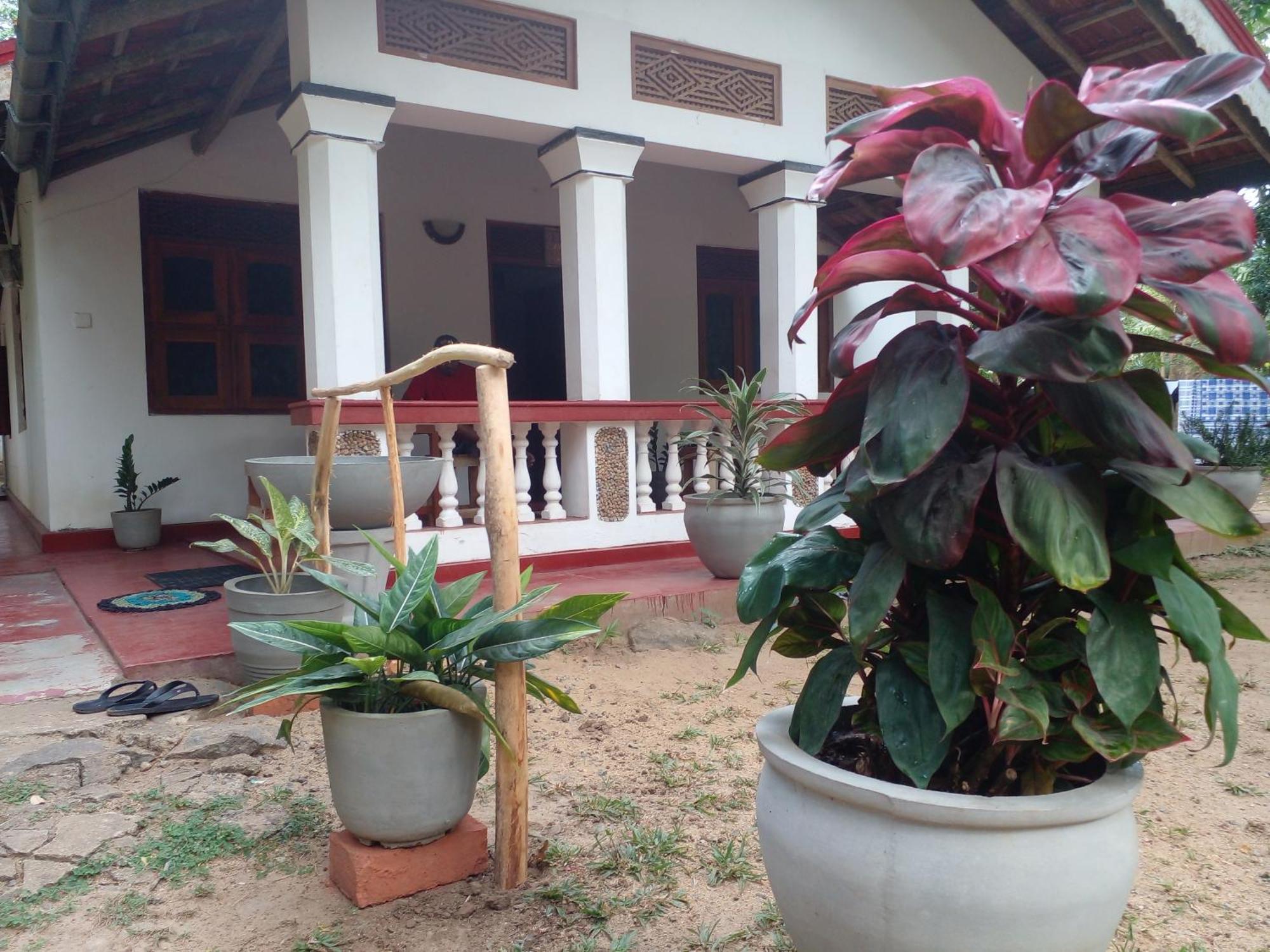 Hotel Golden Bell Tangalle Exteriör bild